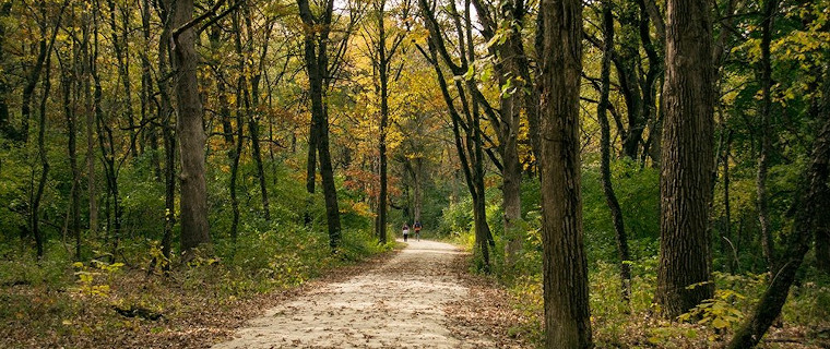 iNaturalist Project Blackwell Forest Preserve