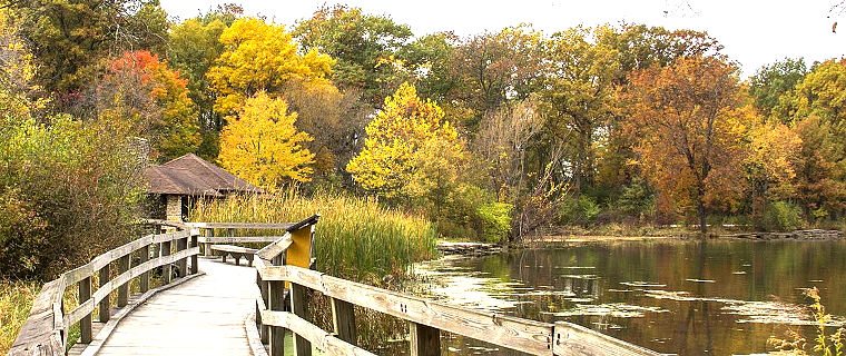 iNaturalist Project Herrick Lake Forest Preserve